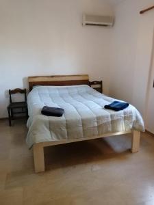 Apollo Greekgod Apartments