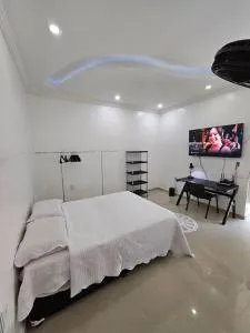 Apartamento Premium - 帕林廷斯