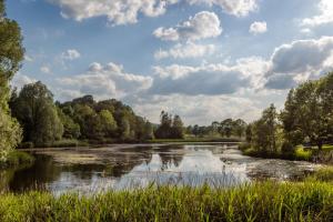 Chalet Bachwies I Terrasse I Seeblick I Wandern