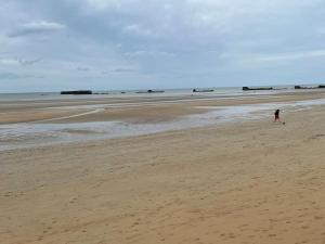 Maisons de vacances Maison de vacances en bord de mer Gold Beach : photos des chambres