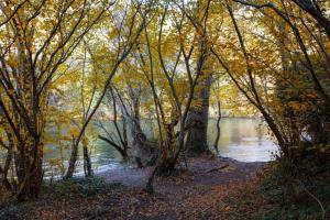 Anguiano Habitaciones rurales con baño privado