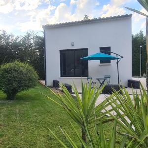 les palmiers de lisle