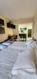 Aires Brillantes, monoambiente céntrico