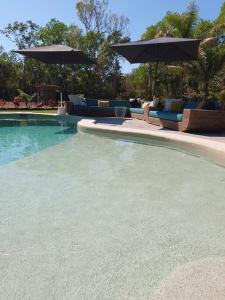 Oasis by Anglers Choice