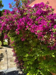 Chambre dhôtes duplex Le petit mas niçois de la Villa rose