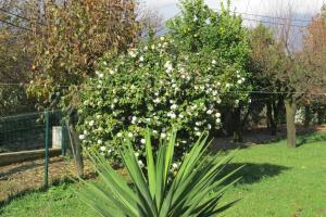 Sweet Home Braga - 4 rooms apartment