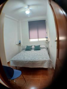 Comfort Apartamento Compartido