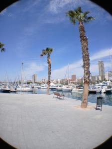 Comfort Apartamento Compartido