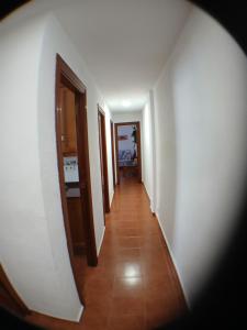 Comfort Apartamento Compartido