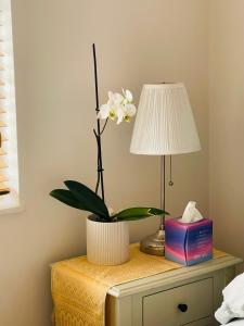 Lovely 1 bedroom apartment in the heart of Chelsea