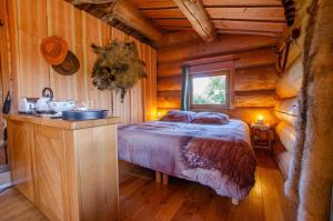 La cabane du trappeur