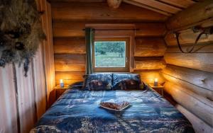 La cabane du trappeur