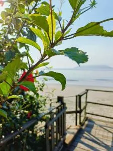 Pousada 4 Estações itapoa - Pontal