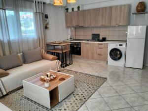 Savvas Luxury Apartment