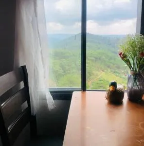 Vivu Đà Lạt Homestay 2 - 洛伊城