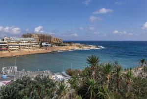 Deluxe Seaview Apartment