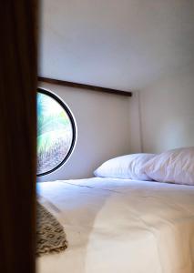 Caracola Boutique Hostel