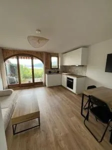 Appartement avec vue sur le lac - 巴拉迪亚