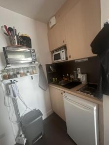 Appartements Studio vue sur la Tour Eiffel : photos des chambres
