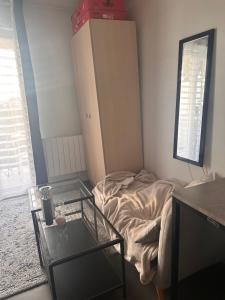Appartements Studio vue sur la Tour Eiffel : photos des chambres