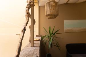 La vela bianca img16