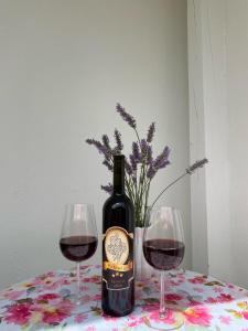 Studio apartment Adrijana