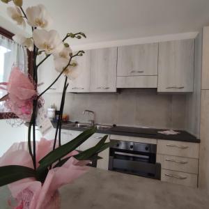 Orobie Holiday Apartments