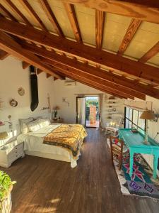 Casa Alquitara - Ubytování bez kategorie ve městě El Palmar