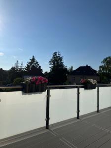 Ferienwohnung Ahlbeck Theophil