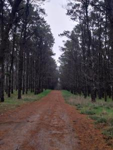 Cabaña en Villa del Deportista Villa Shalom