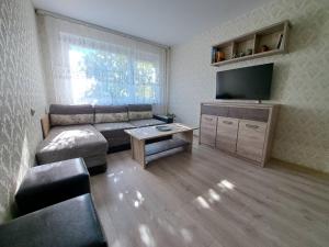 TMG Bright Apartment