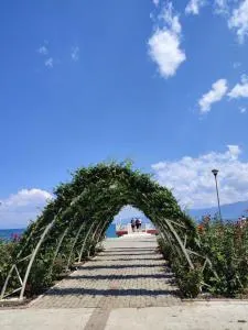 The village house - Lin