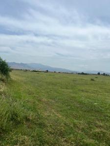 Room Villa gate parking