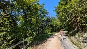 Ca Gerani Valpolicella