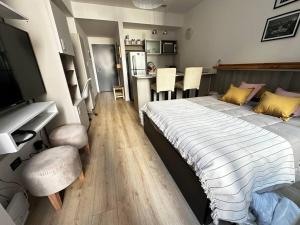 Lujoso monoambiente en Recoleta