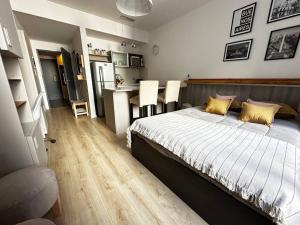 Lujoso monoambiente en Recoleta