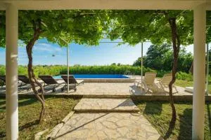 House Stone Curlew 6 - Kakma