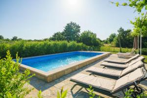 House Stone Curlew 6