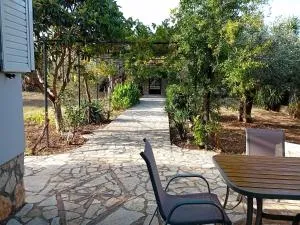 Vicino al mare - Astros