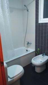 Piso Encanto Palmeiro