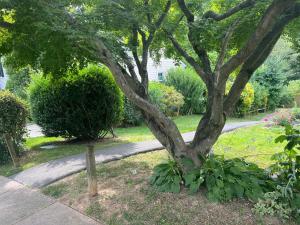 Lakeview - Tranquille private suite