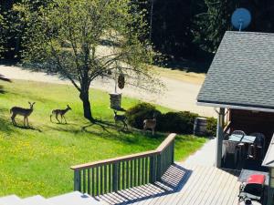 Dream Catcher Inn