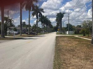 Discover a paradise come true