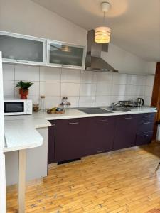 Blue Moon Main Square Apartment