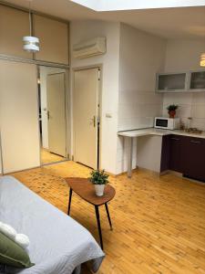 Blue Moon Main Square Apartment