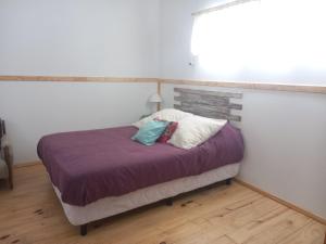 Las Bandurrias del Lago