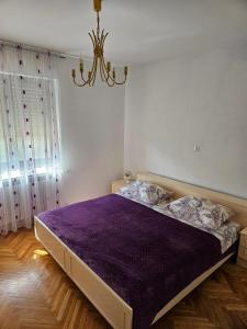 Apartments by the sea Kali, Ugljan - 17665