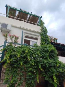 Apartments by the sea Gradac, Makarska - 23244 
