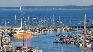 Vue Panoramique sur Bassin,Piscine et terrasse