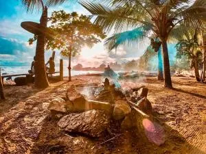 The Humpback Turtle - El Valle